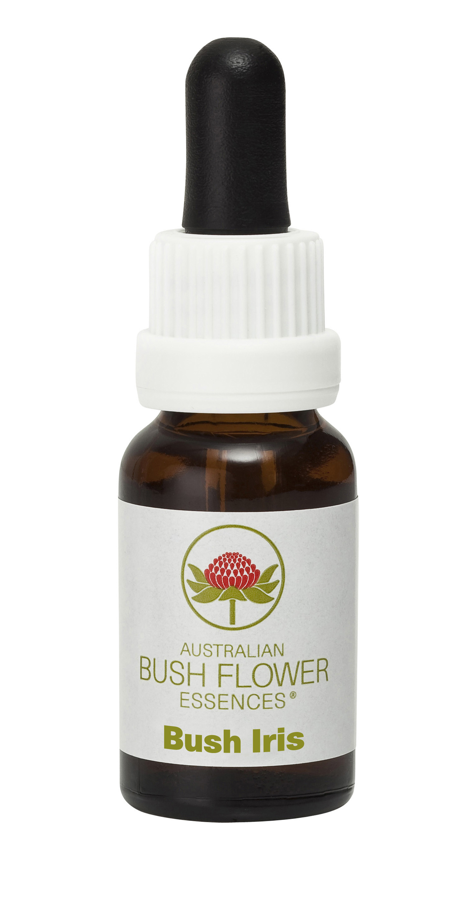 Bush_Iris
