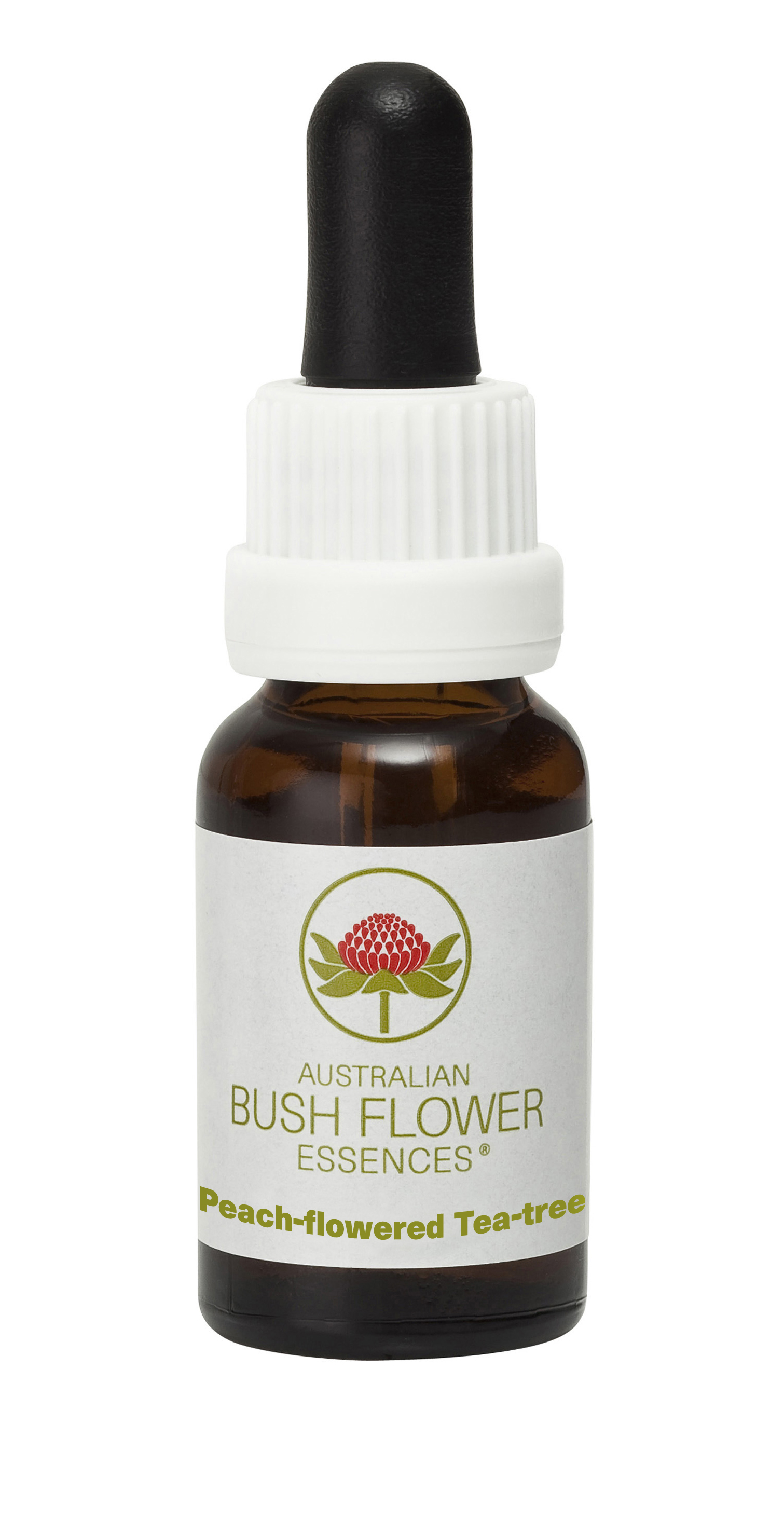 Peach-flowered_Tea-tree