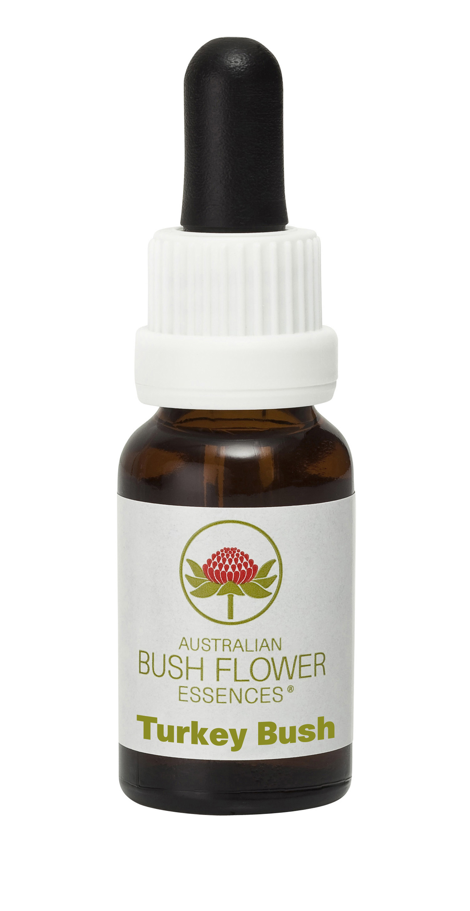 Turkey_Bush
