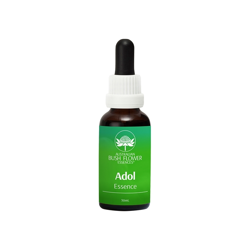 Adol Essence